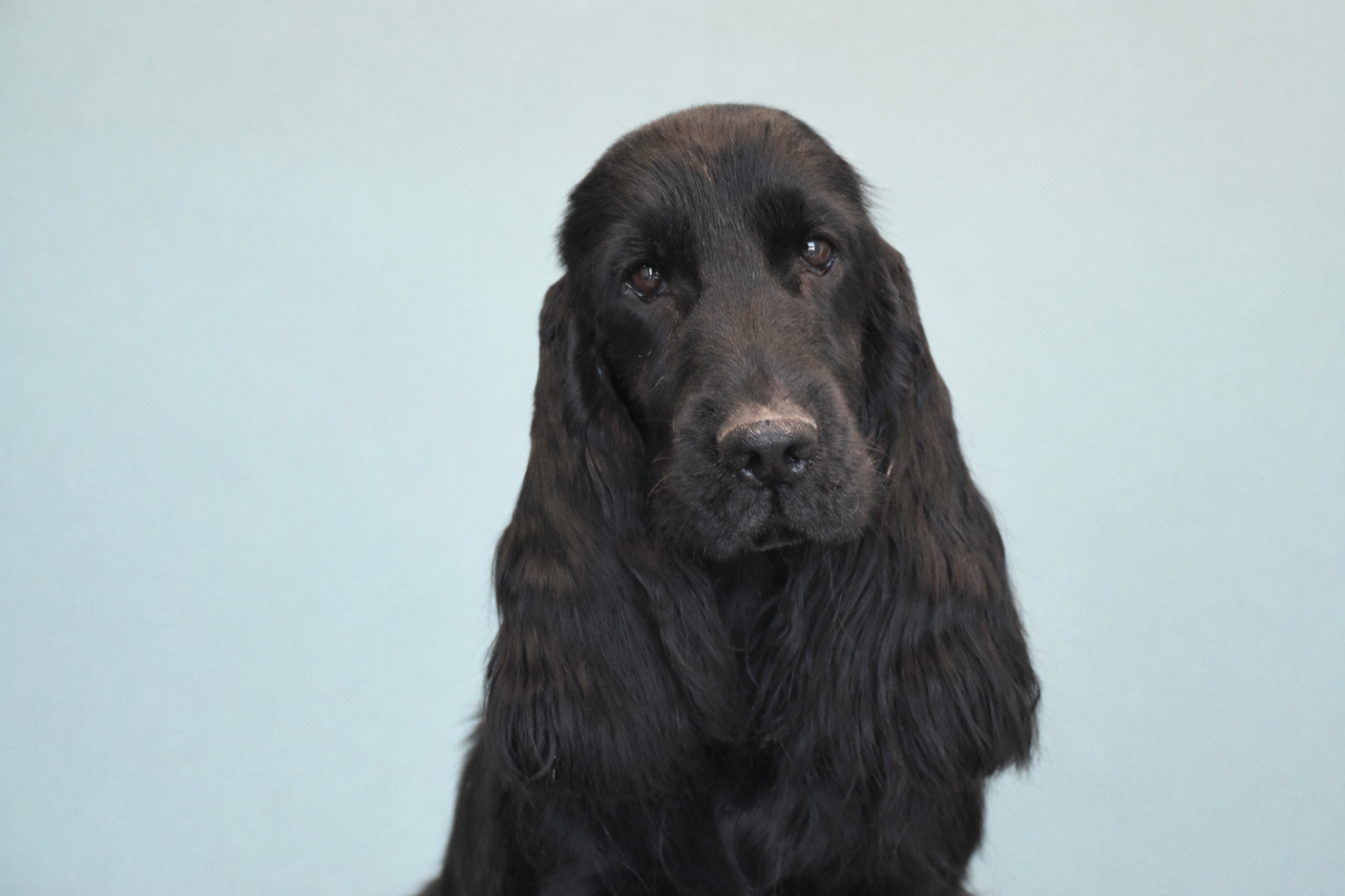 Vahiné Du Domaine Des Rêves Bleus