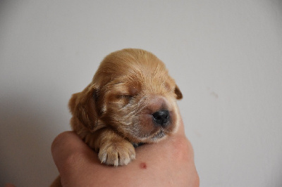 Aby