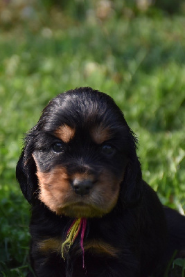 Abby